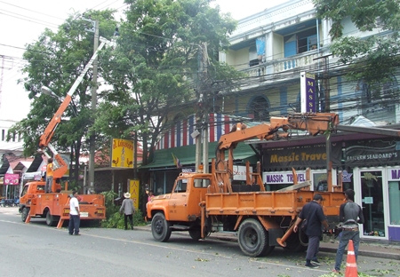 Workers trim trees to keep them from interfering with power lines.
